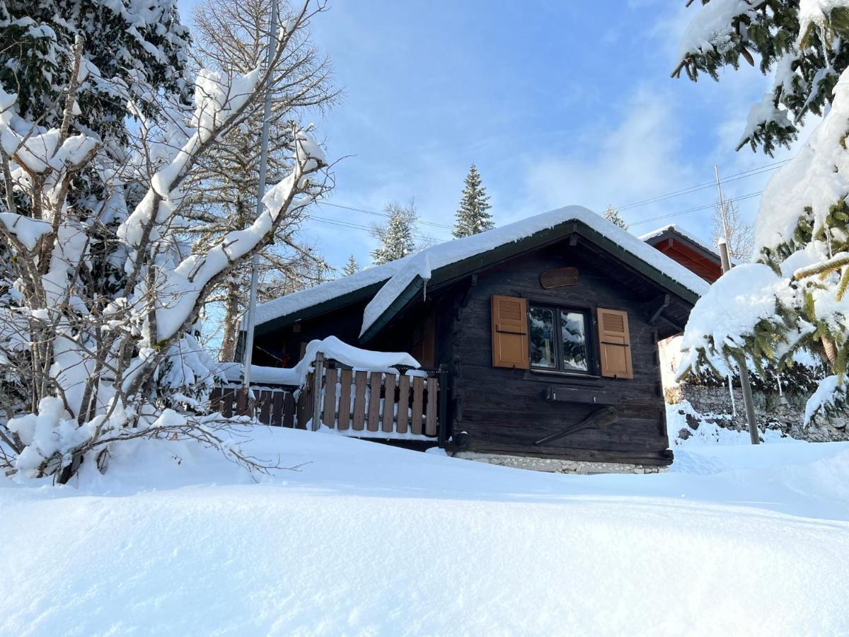 Entire Cozy Chalet In St-Cergue - 30 Min From Geneva 圣塞尔格 外观 照片