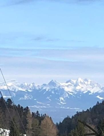 Entire Cozy Chalet In St-Cergue - 30 Min From Geneva 圣塞尔格 外观 照片