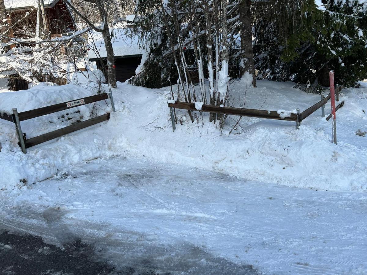 Entire Cozy Chalet In St-Cergue - 30 Min From Geneva 圣塞尔格 外观 照片