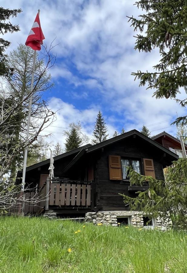 Entire Cozy Chalet In St-Cergue - 30 Min From Geneva 圣塞尔格 外观 照片